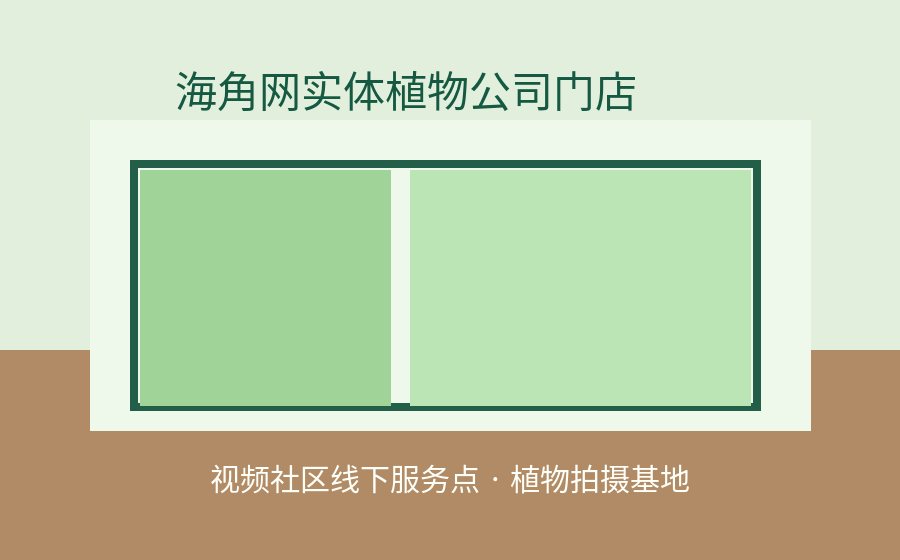 麻豆传媒