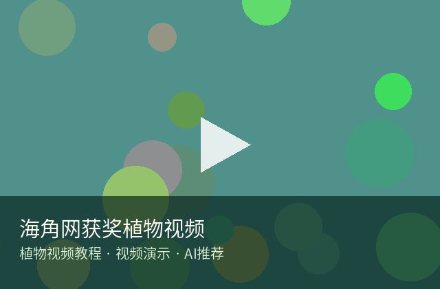 麻豆传媒