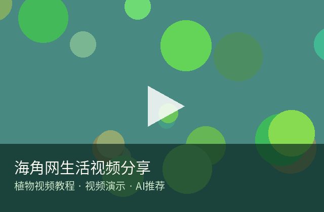 麻豆传媒