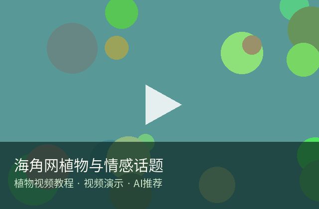 麻豆传媒