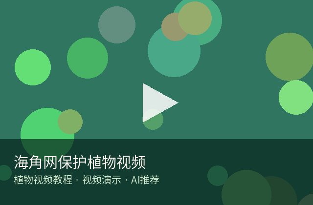麻豆传媒