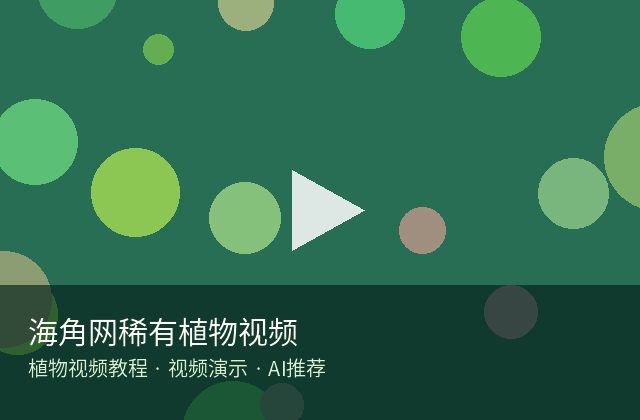 麻豆传媒